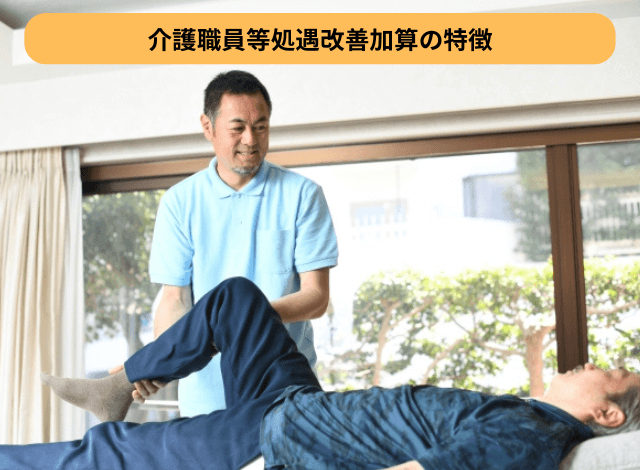 介護職員等処遇改善加算の特徴